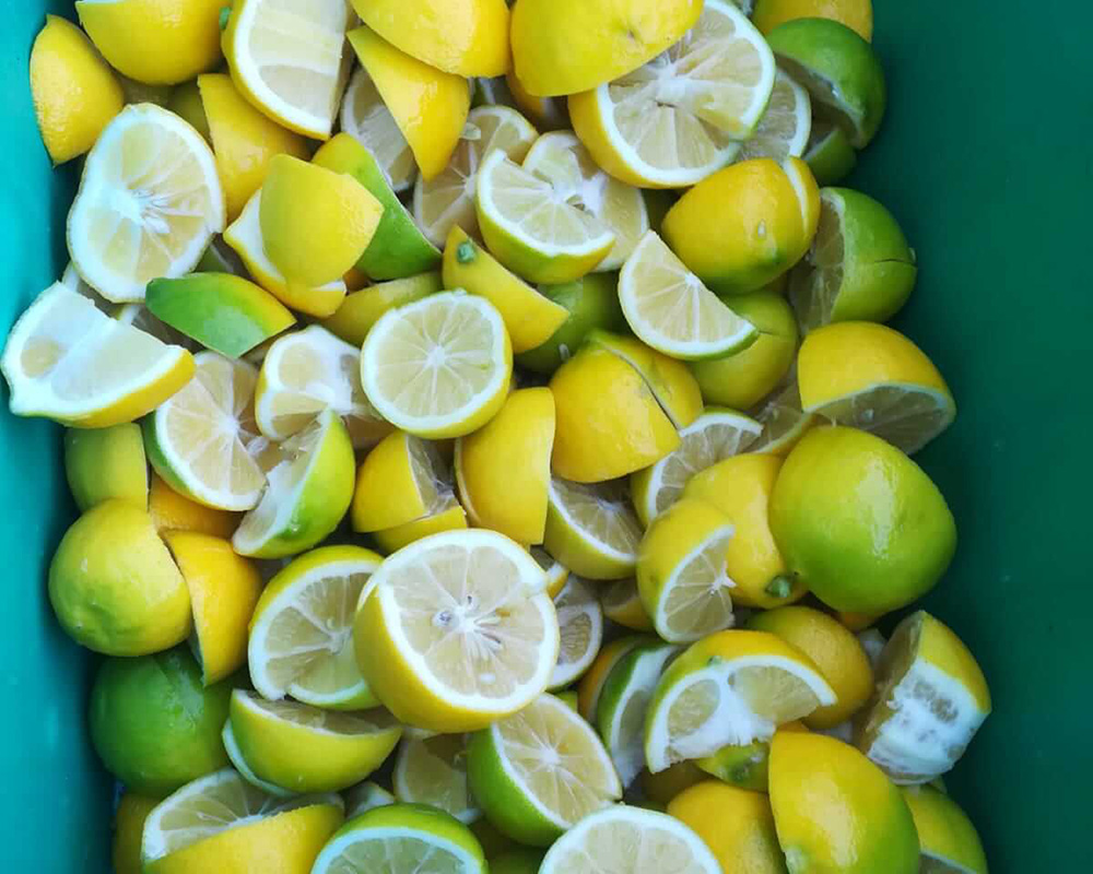 Limun nasjeckanim na ploške u kašeti